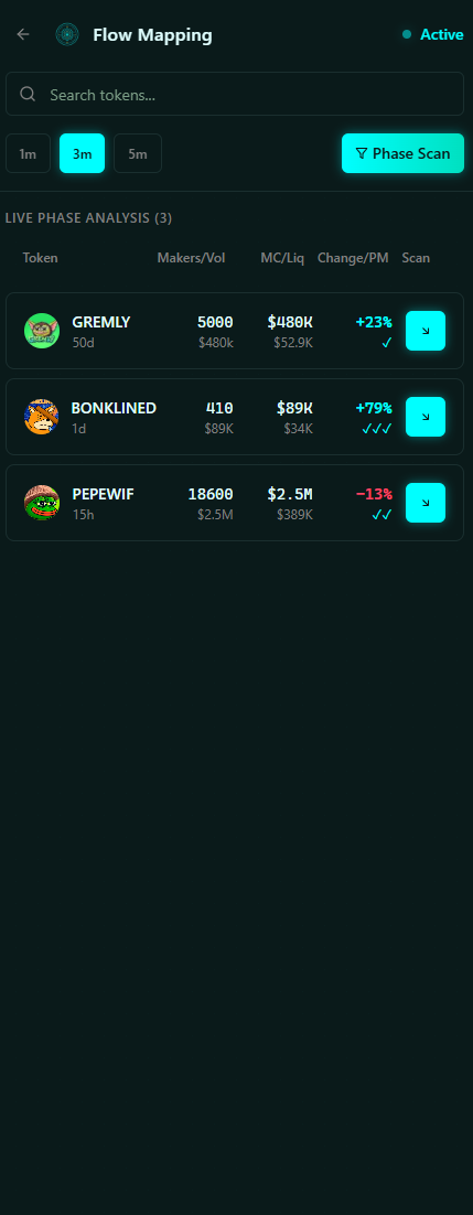Flow Mapping: Token Behavior Analysis